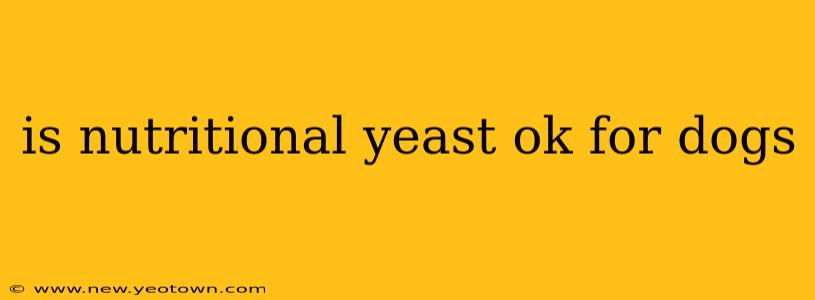 is nutritional yeast ok for dogs