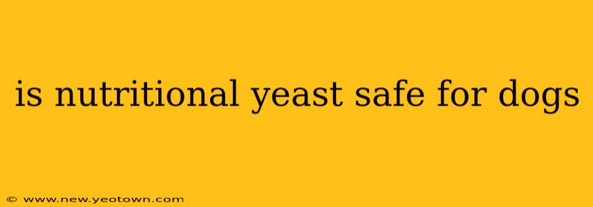 is nutritional yeast safe for dogs