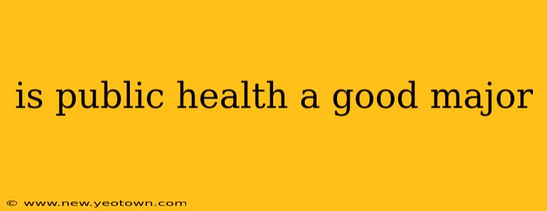 is public health a good major
