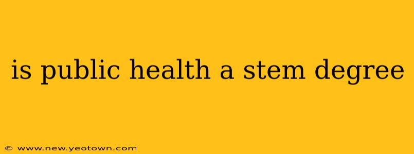 is public health a stem degree