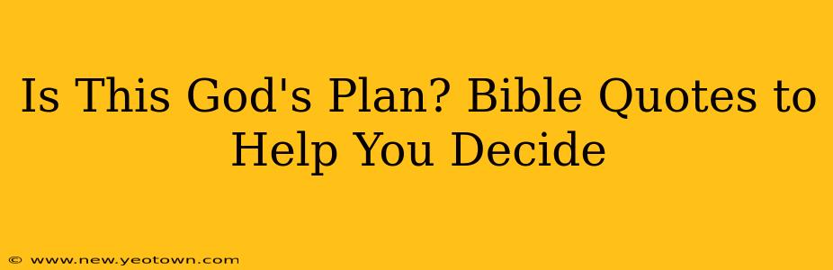 Is This God's Plan? Bible Quotes to Help You Decide