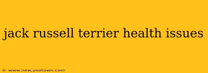 jack russell terrier health issues