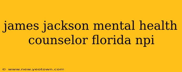 james jackson mental health counselor florida npi