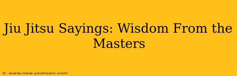 Jiu Jitsu Sayings: Wisdom From the Masters