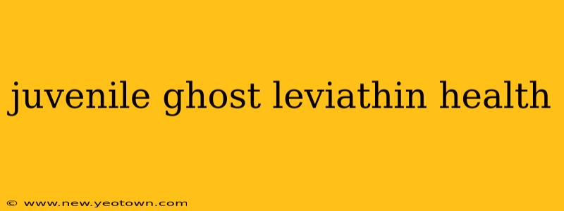 juvenile ghost leviathin health