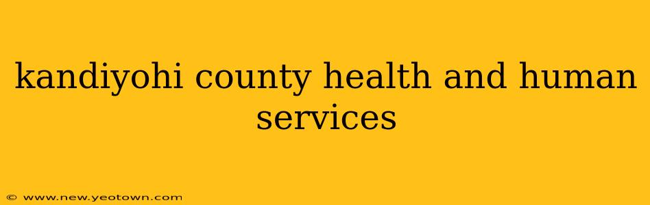 kandiyohi county health and human services