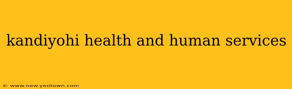 kandiyohi health and human services