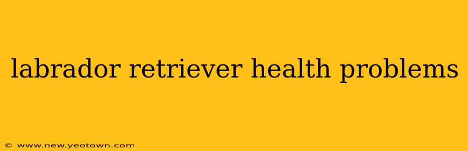 labrador retriever health problems