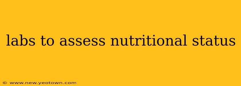 labs to assess nutritional status