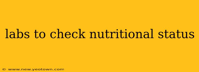 labs to check nutritional status