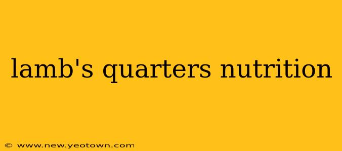 lamb's quarters nutrition