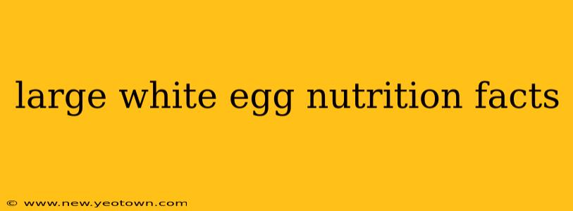 large white egg nutrition facts