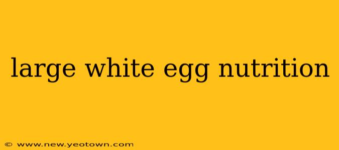 large white egg nutrition