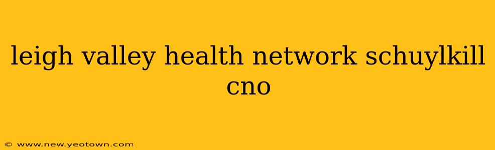 leigh valley health network schuylkill cno