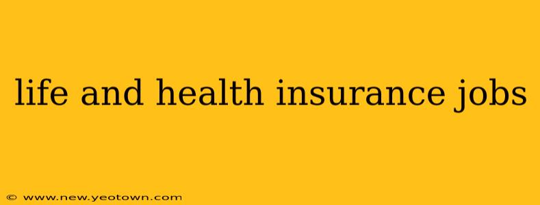 life and health insurance jobs