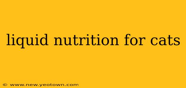 liquid nutrition for cats