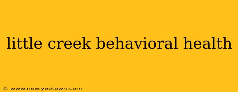little creek behavioral health