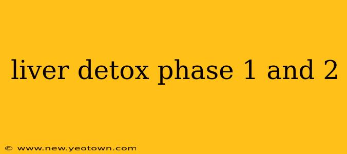 liver detox phase 1 and 2