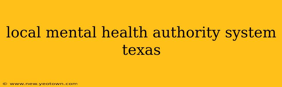 local mental health authority system texas