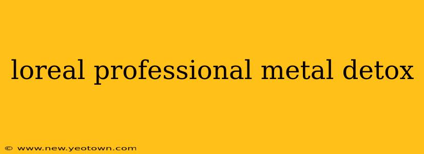 loreal professional metal detox