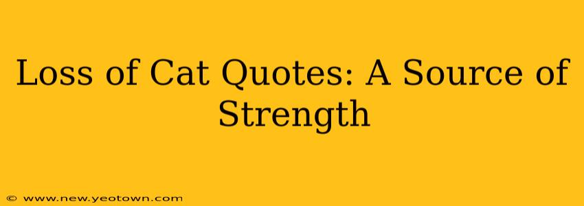 Loss of Cat Quotes: A Source of Strength