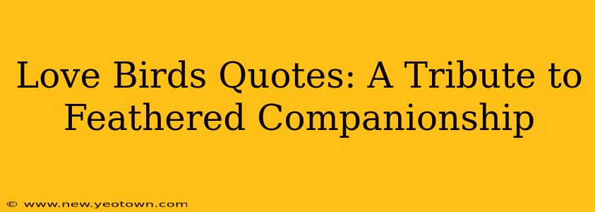 Love Birds Quotes: A Tribute to Feathered Companionship