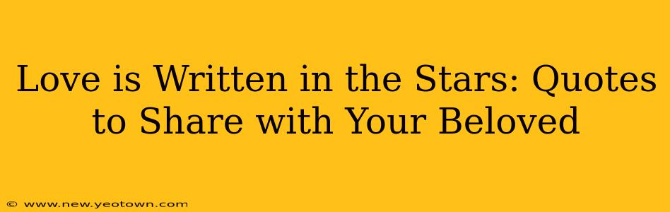 Love is Written in the Stars: Quotes to Share with Your Beloved