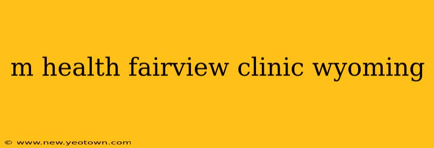 m health fairview clinic wyoming