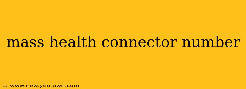 mass health connector number