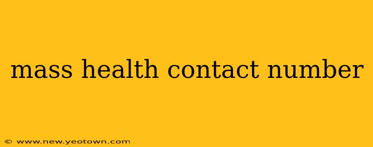 mass health contact number