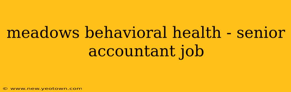 meadows behavioral health - senior accountant job