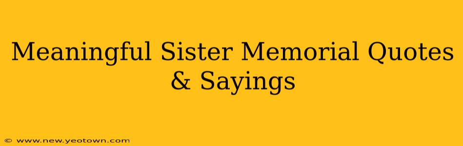 Meaningful Sister Memorial Quotes & Sayings