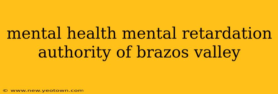 mental health mental retardation authority of brazos valley