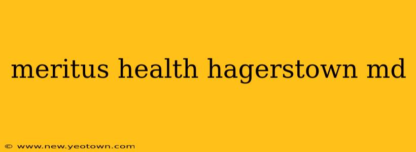 meritus health hagerstown md