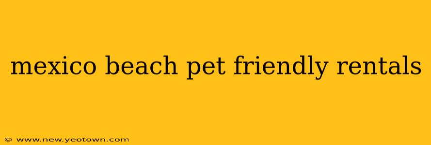 mexico beach pet friendly rentals
