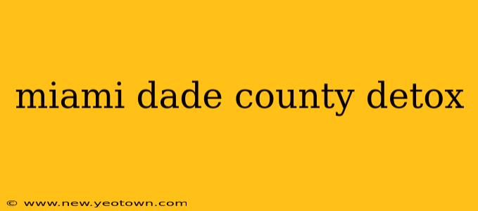 miami dade county detox