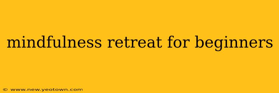 mindfulness retreat for beginners