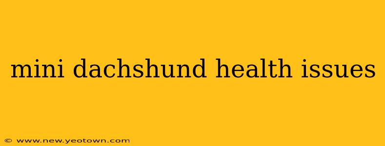 mini dachshund health issues