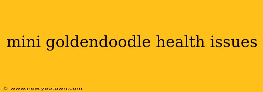 mini goldendoodle health issues
