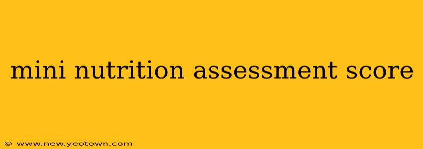 mini nutrition assessment score