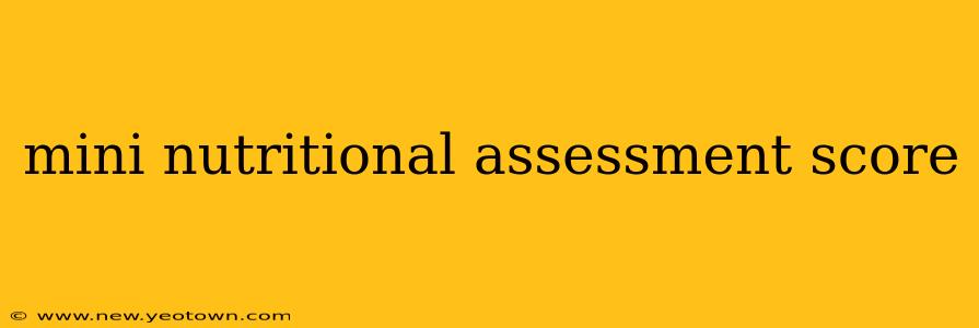 mini nutritional assessment score