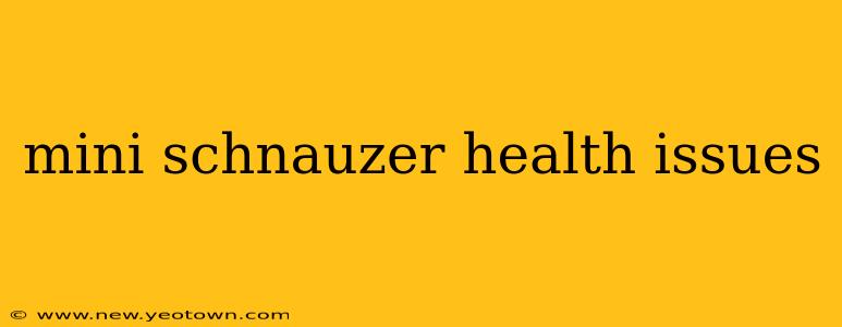 mini schnauzer health issues
