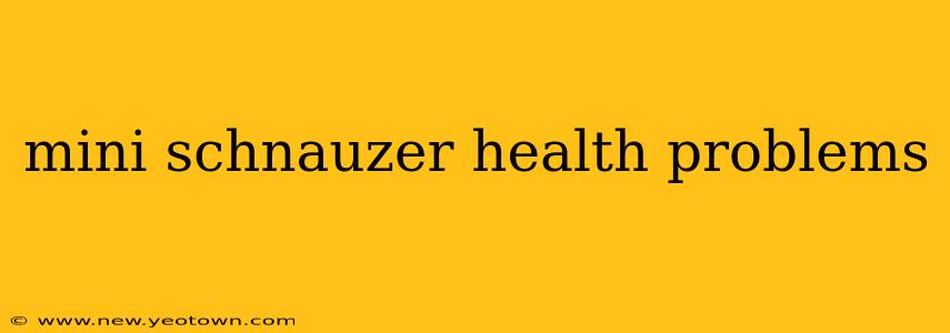 mini schnauzer health problems