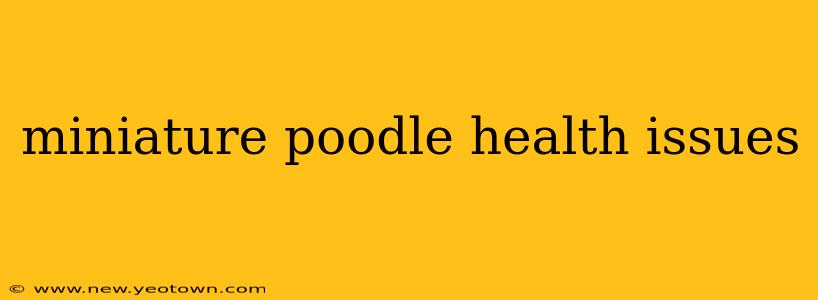 miniature poodle health issues