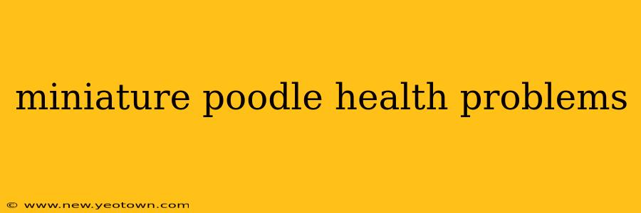 miniature poodle health problems