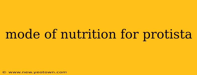 mode of nutrition for protista