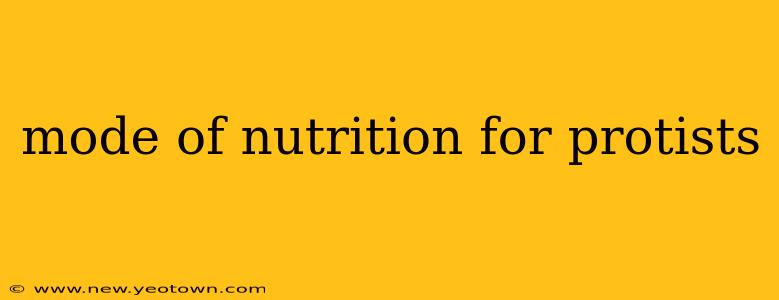 mode of nutrition for protists