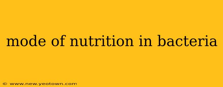 mode of nutrition in bacteria