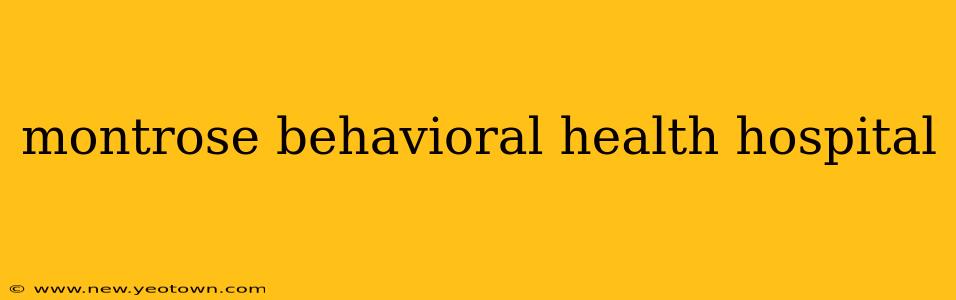 montrose behavioral health hospital