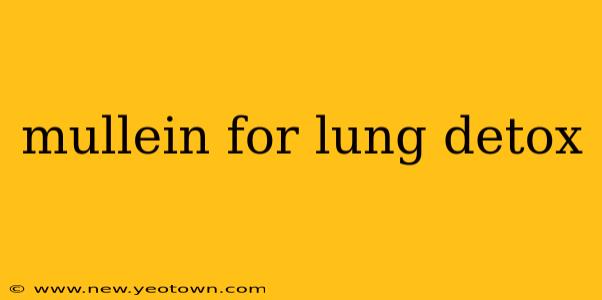 mullein for lung detox